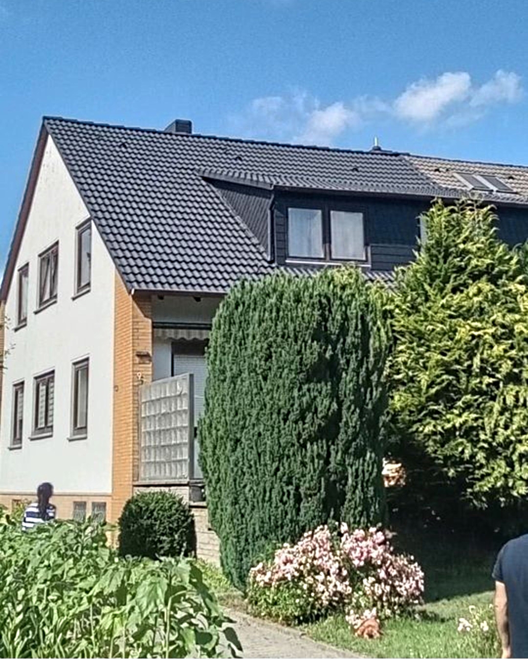 sanex gebaeudesanierung 2