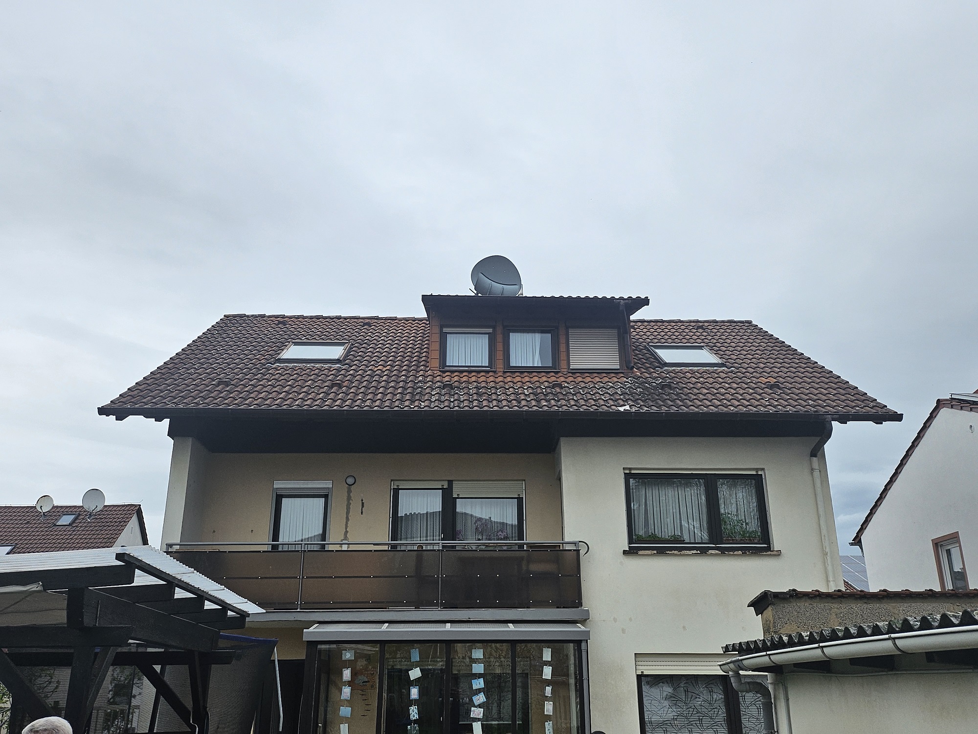 dachreinigung in alzey
