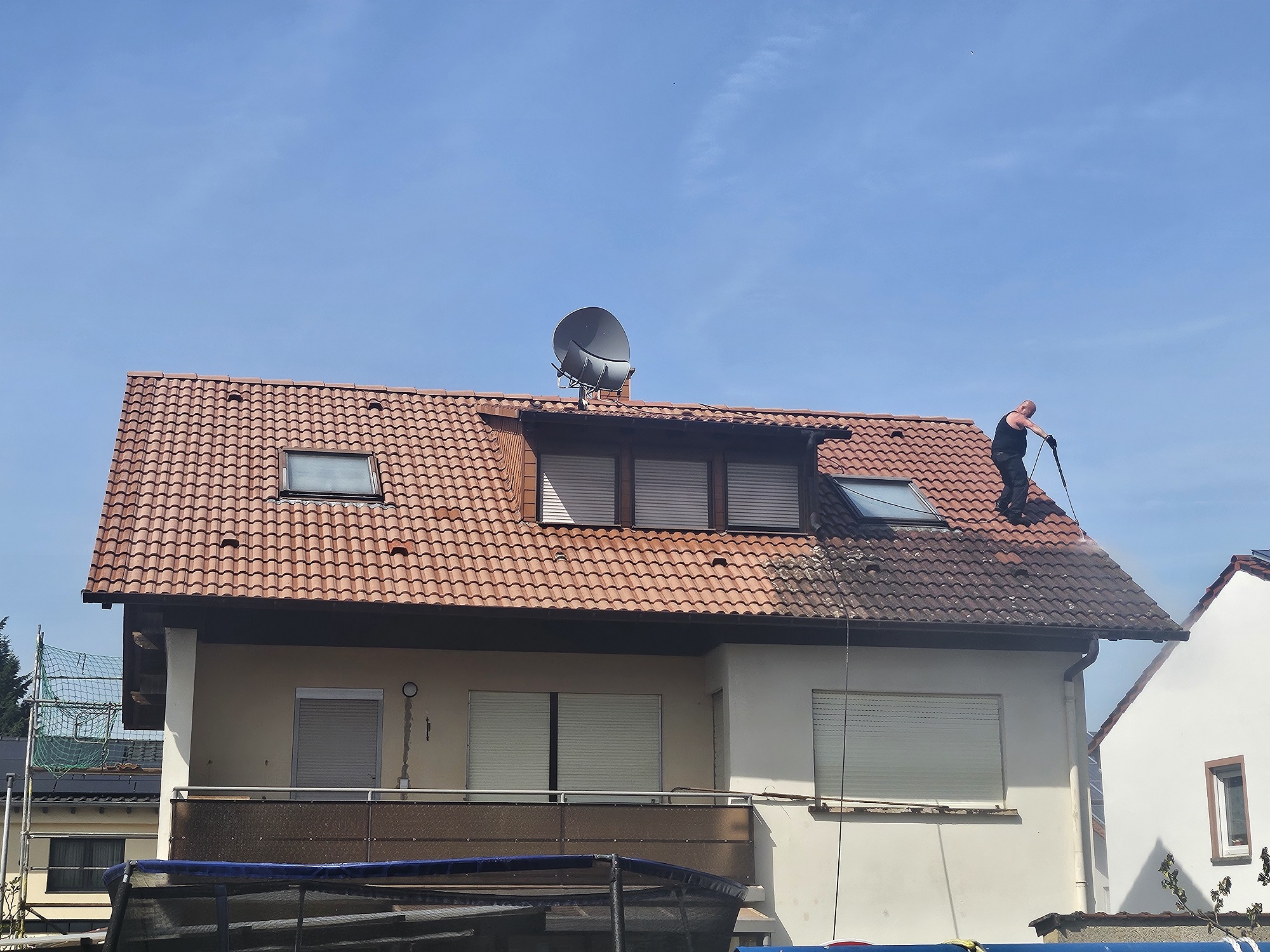 professionelle dachreinigung alzey