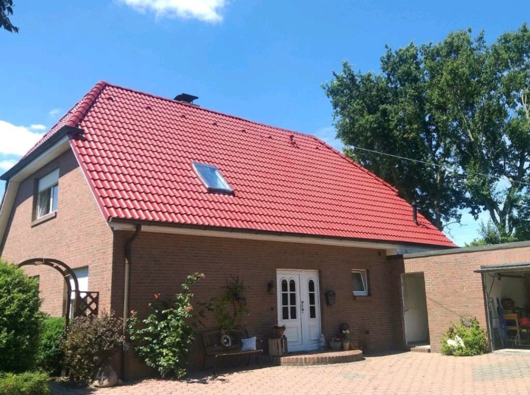 dachreinigung alzey