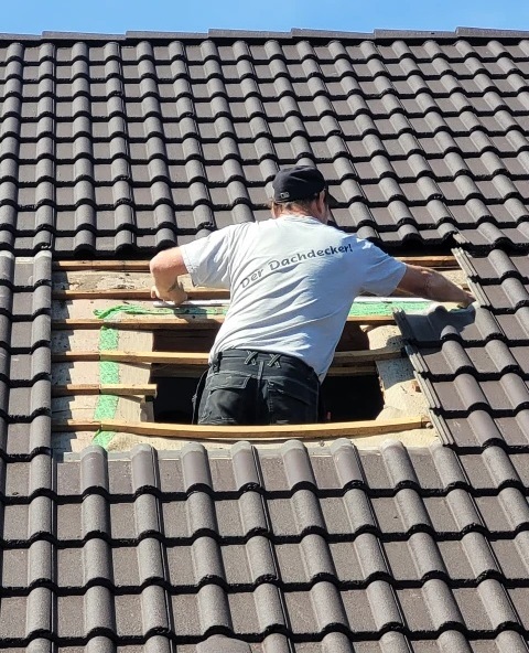 professionelle dachreparaturen in ludwigshafen am rhein